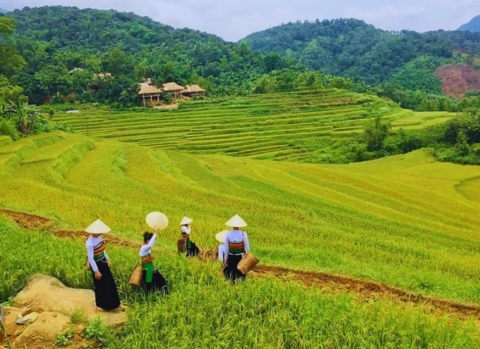 7 Days Discover Northern Vietnam with Pu Luong