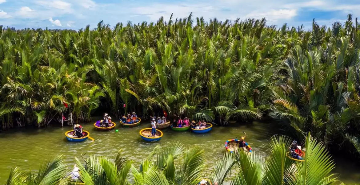 Coconut Forest