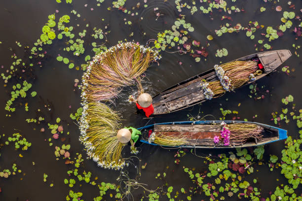 Mekong Delta Exploration