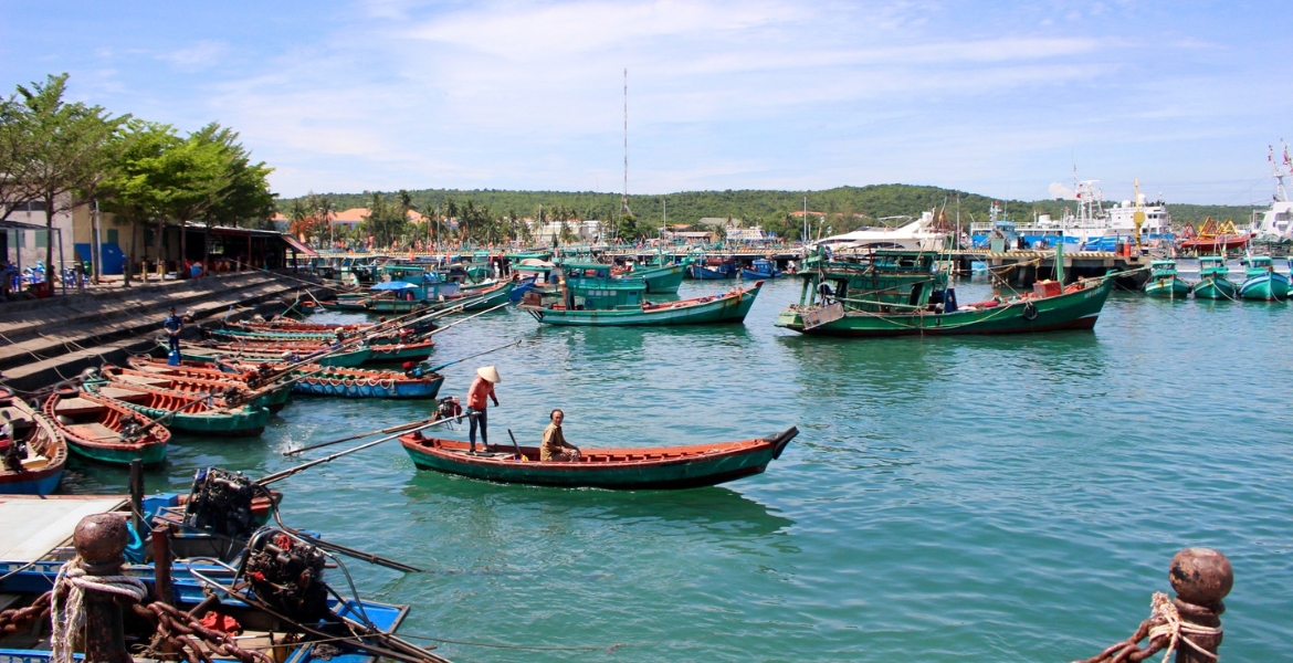 Mekong Delta River