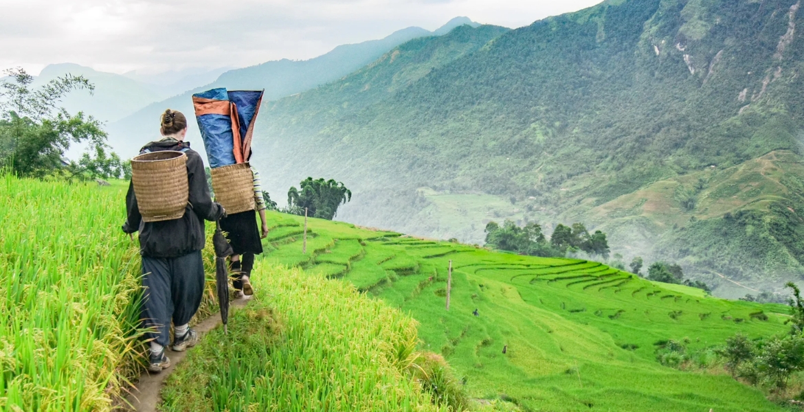 Sapa Landscapes