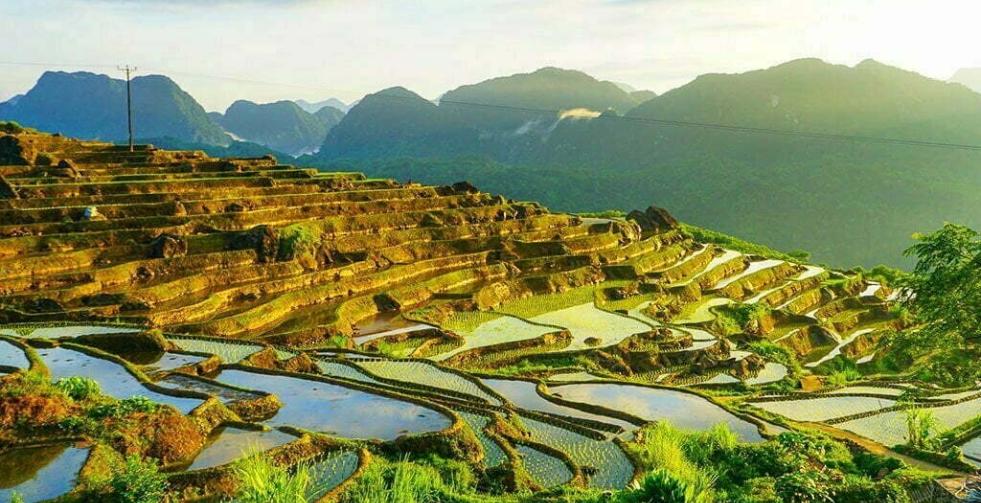 Pu Luong Landscape