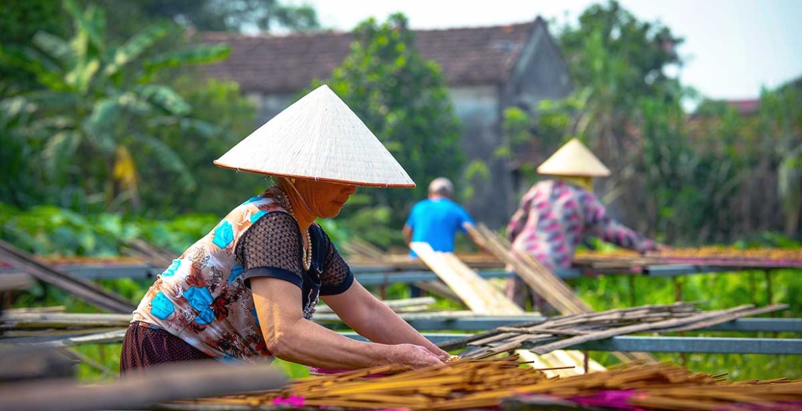 Discover Quang Phu Cau Incense Village - Villages Tour around Hanoi