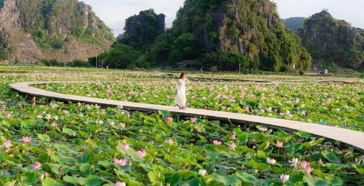 Discover Ninh Binh 2 Days 1 Night - Private Tour