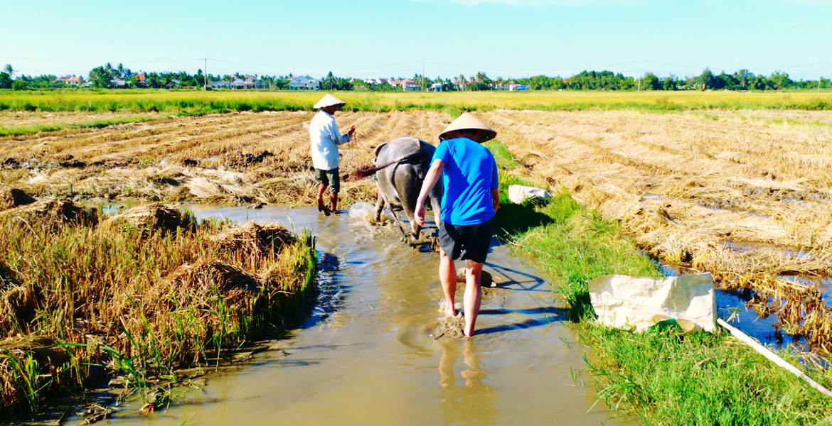 Hoi An Farming and Fishing Experience - 1 Day | Vietnam Tour Operator ...