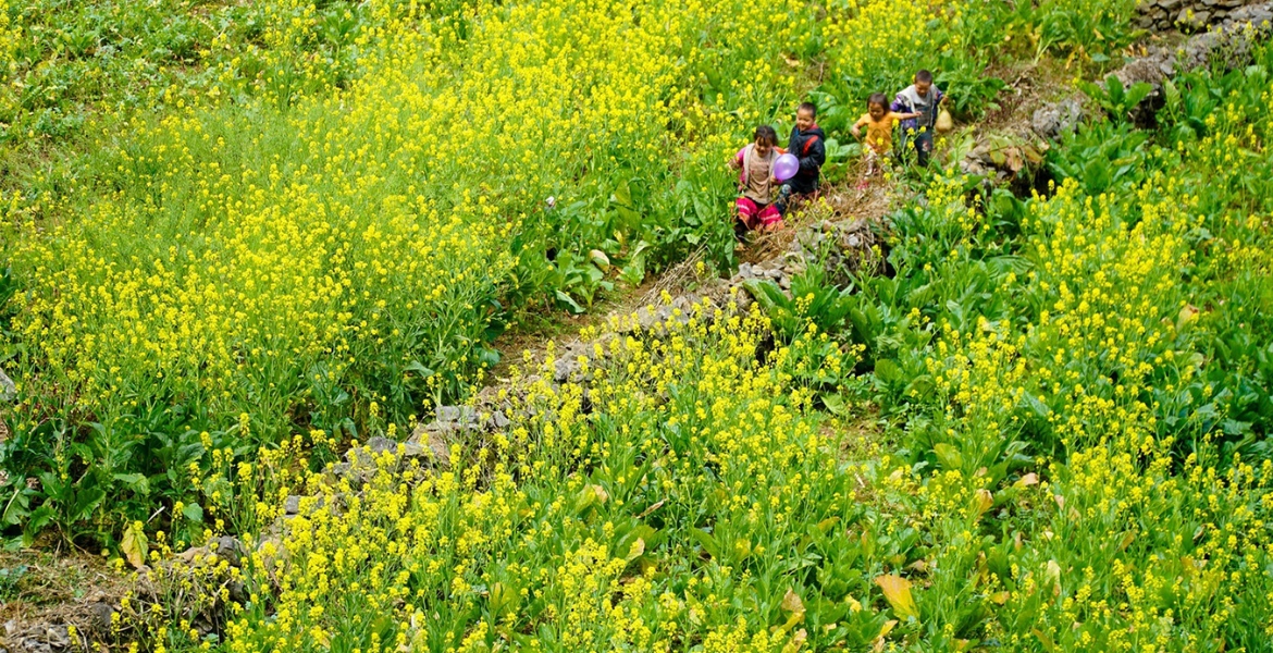 Ha Giang Loop by Jeep 4 Days