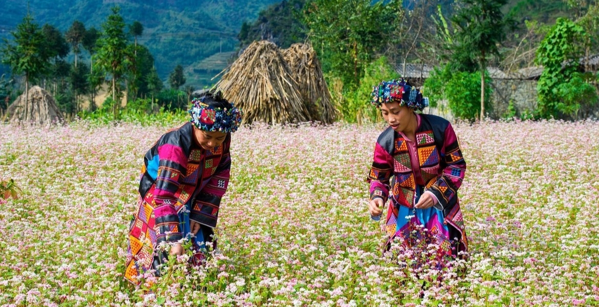 Ha Giang Loop 2 Days 1 Nights by Motorbike