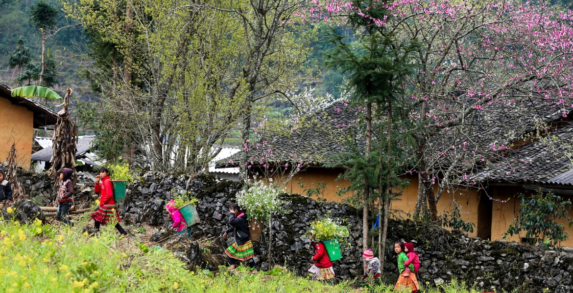 Ha Giang Loop By Motorbike 4 Days 3 Nights