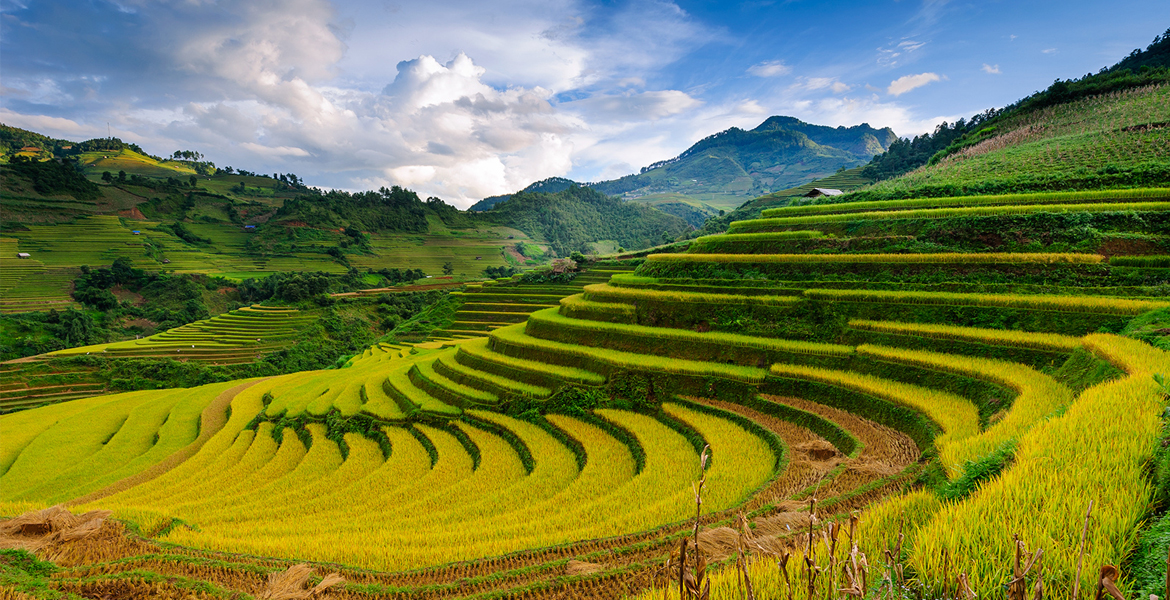 Sapa Trekking Tour with Bus - 3 Days | Incredible Asia Journeys