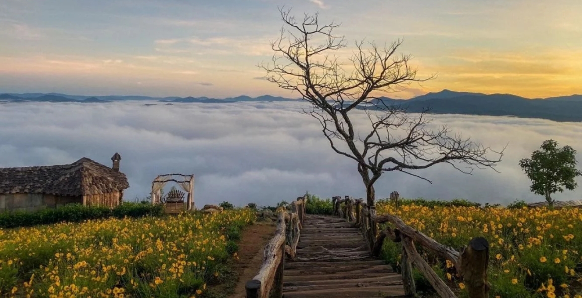 Da Lat Amazing Tour 3 Days 2 Nights